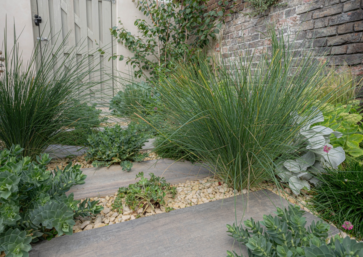 Garden Designers in Kent