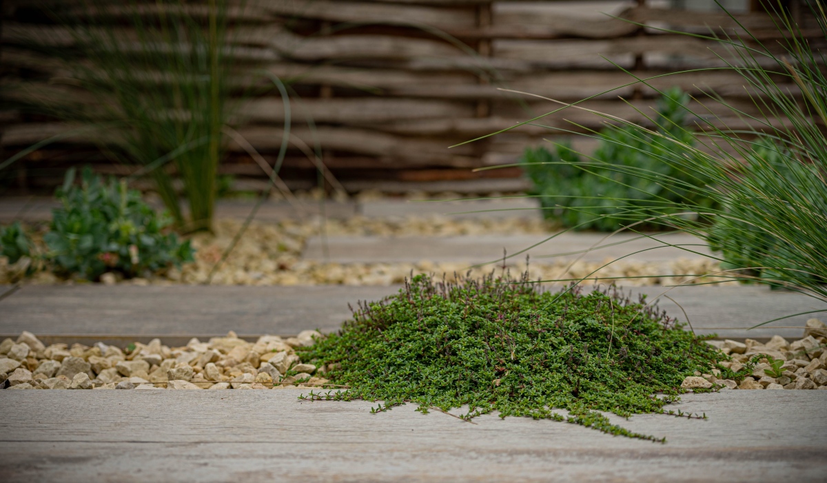 Garden Designers in Kent
