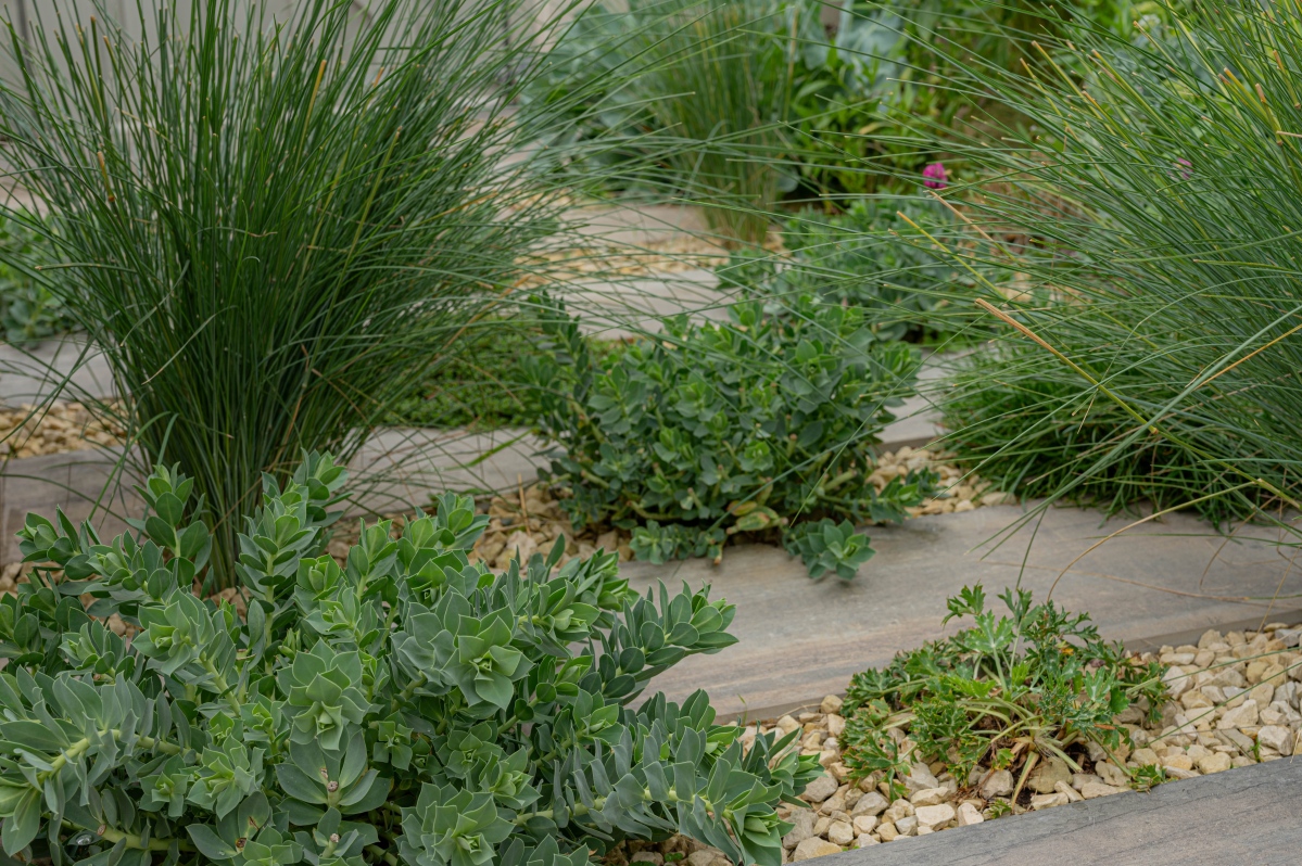 Garden Designers in Kent