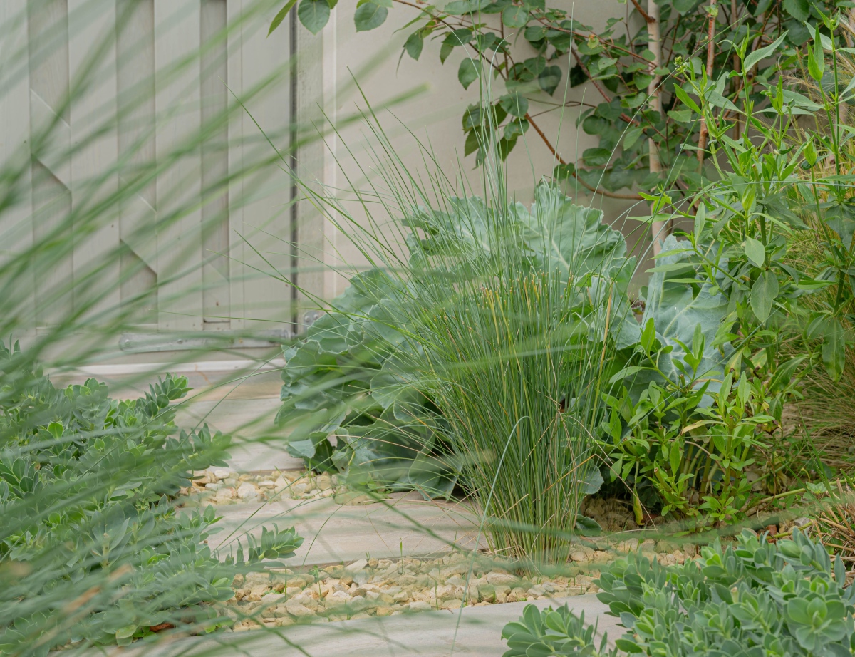Garden Designers in Kent