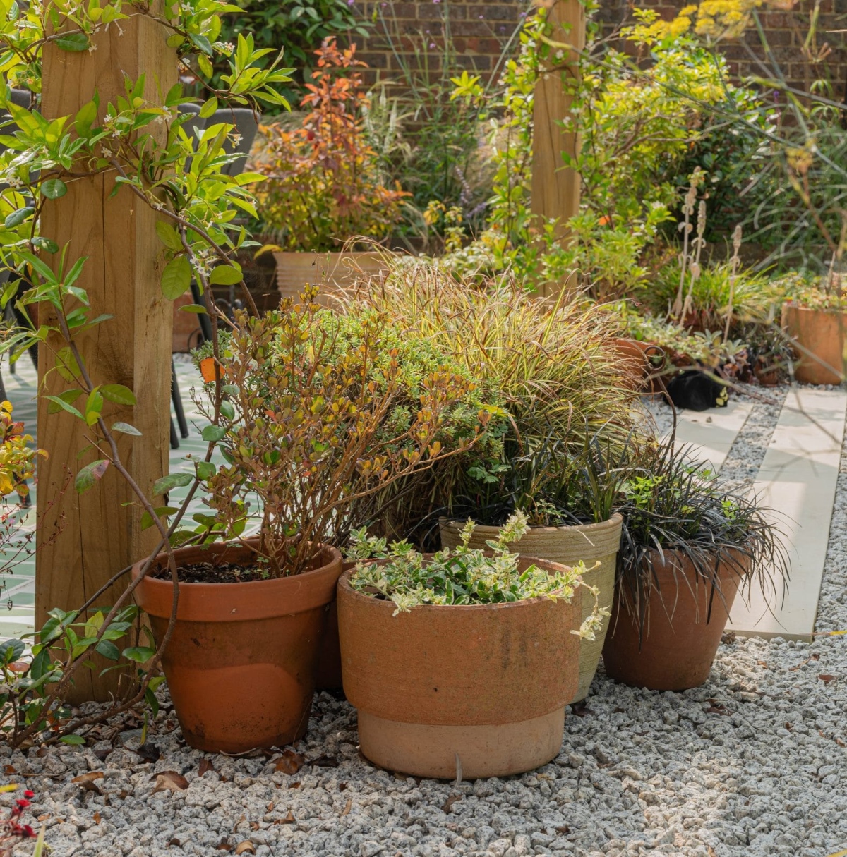 Garden design in Hythe