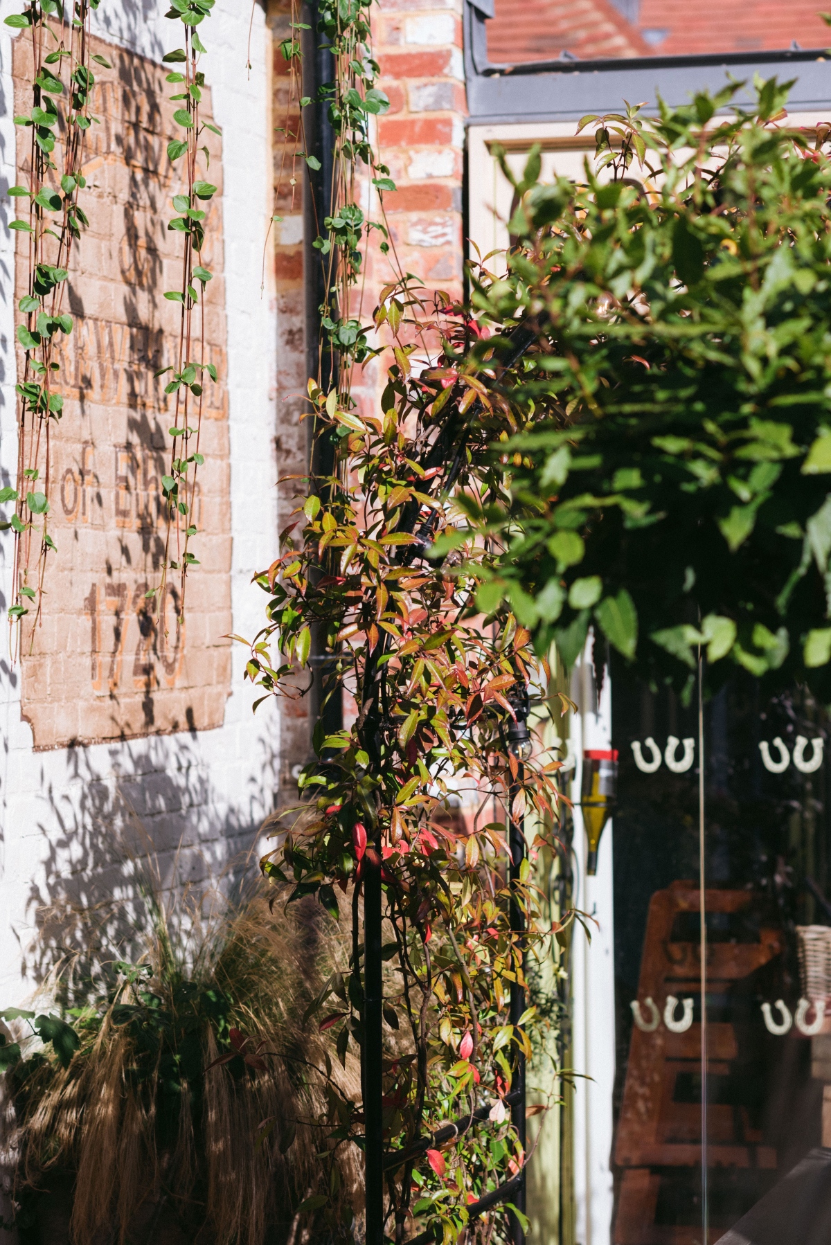 Garden design in Elham