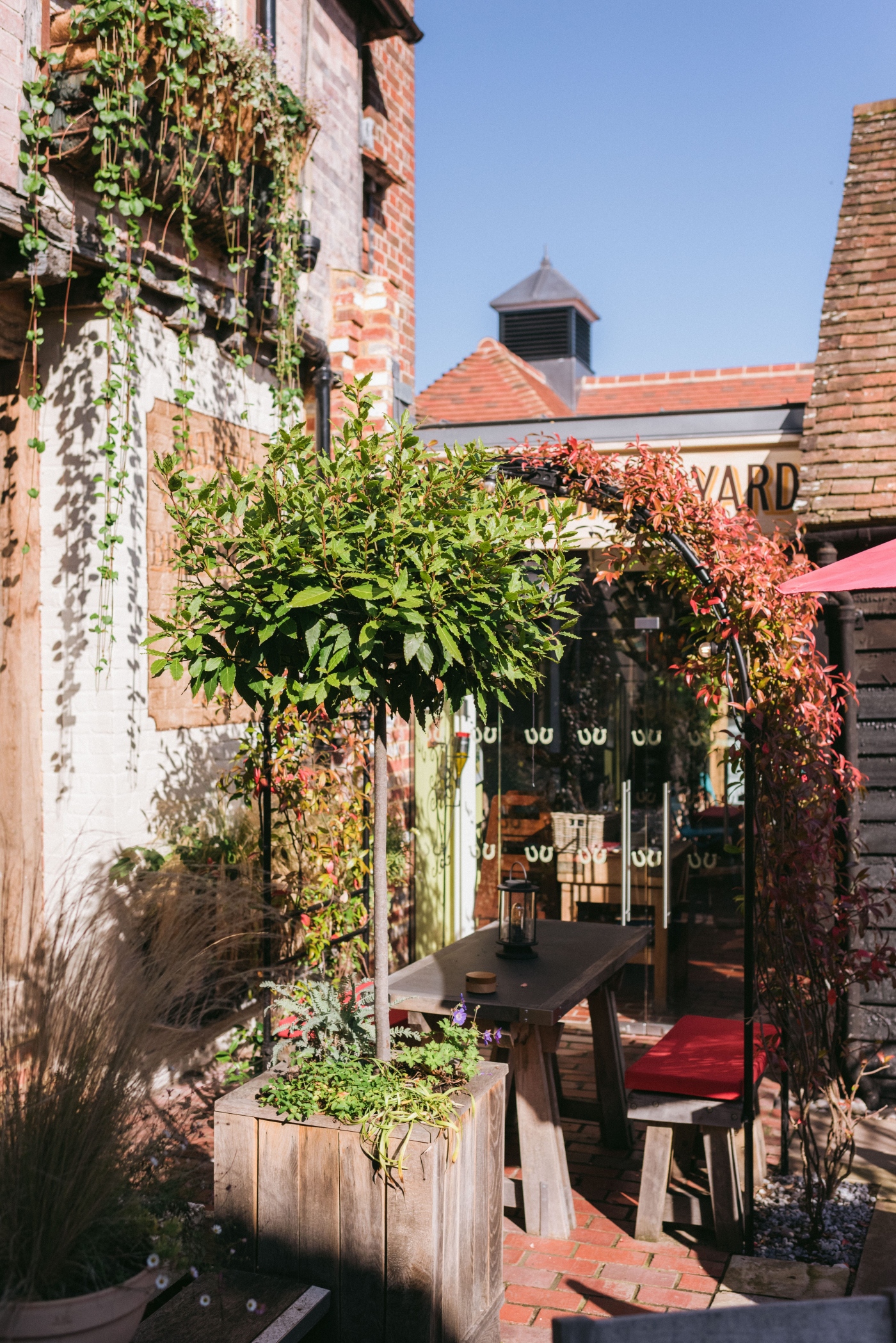 Garden design in Elham