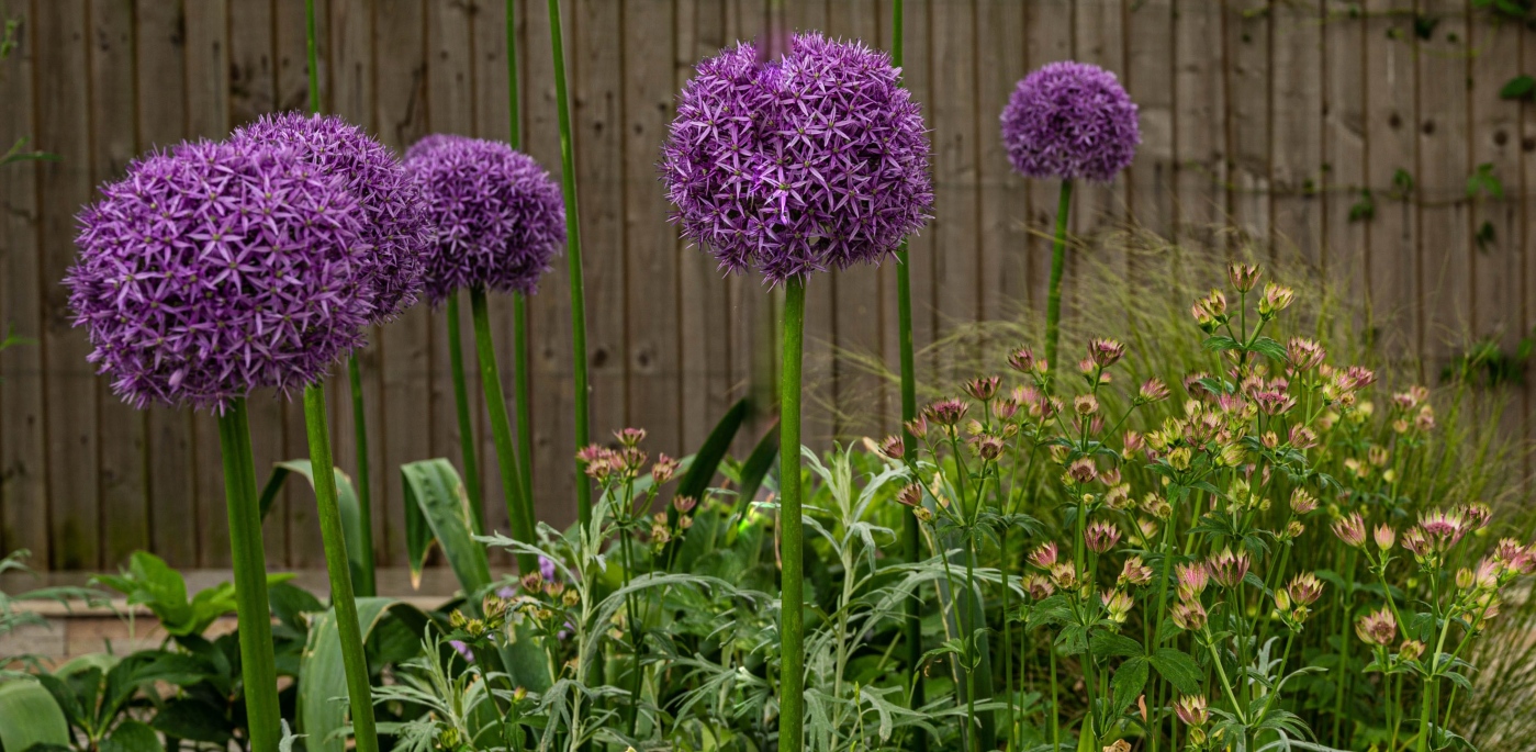 Garden design in Ashford