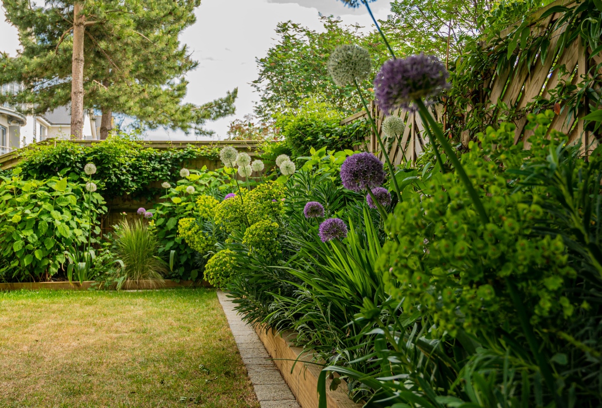 Garden Design in Hastings