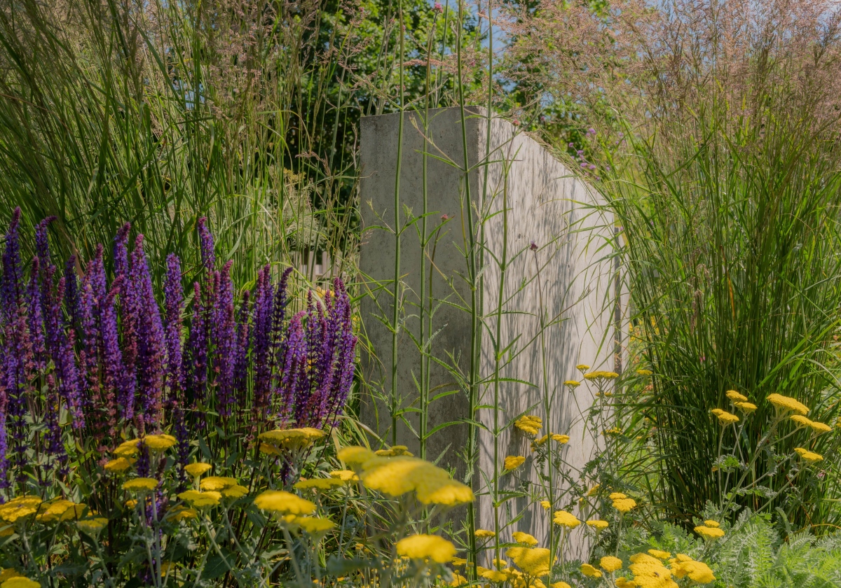 dsc 1132 Best Plants for Clay Soil in Kent Ivy & Whyte Garden Design Creating extraordinary gardens & life-enriching spaces