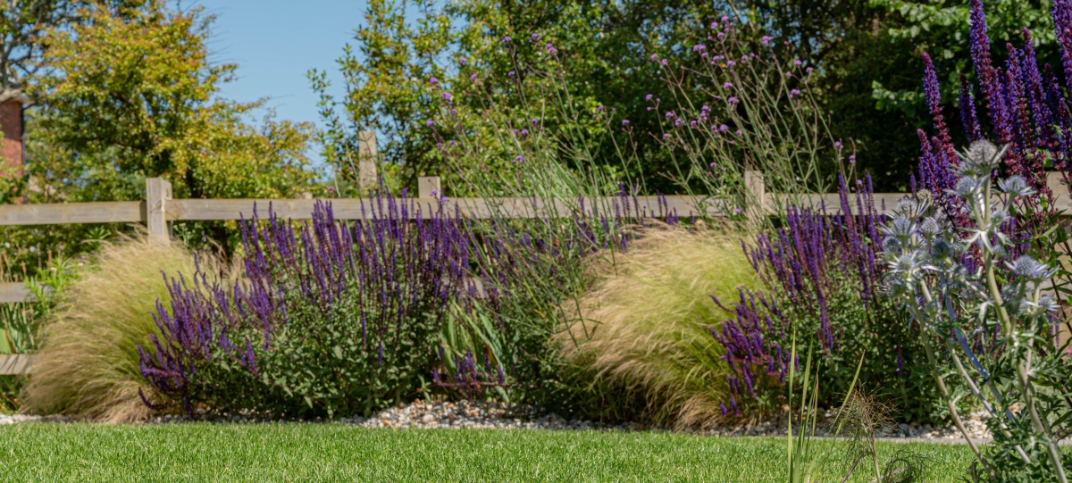 Kent-based garden designers