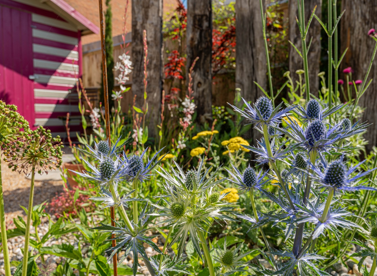 garden design in Broadstairs