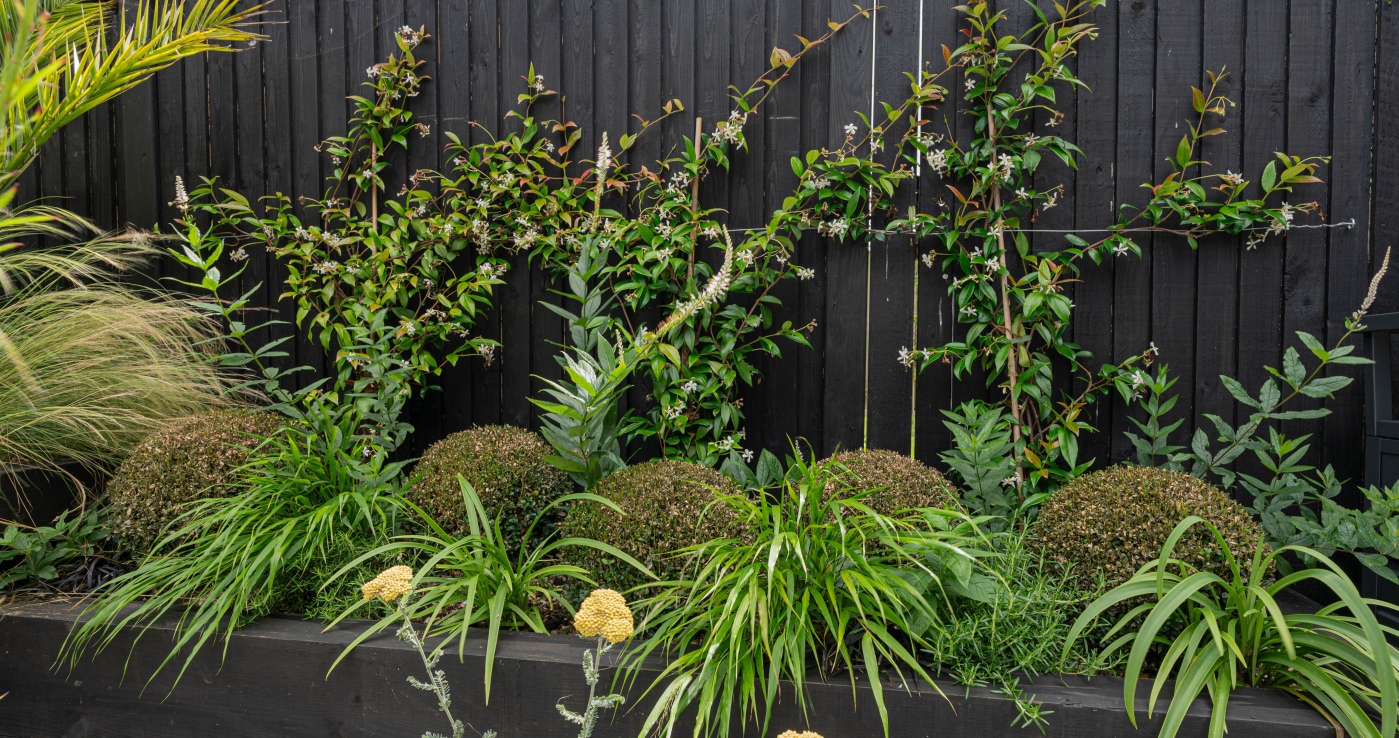 small garden design in Kent