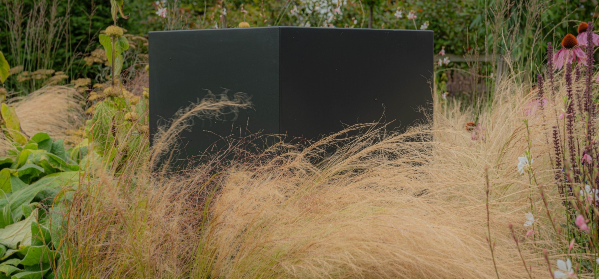 Garden design in Rye