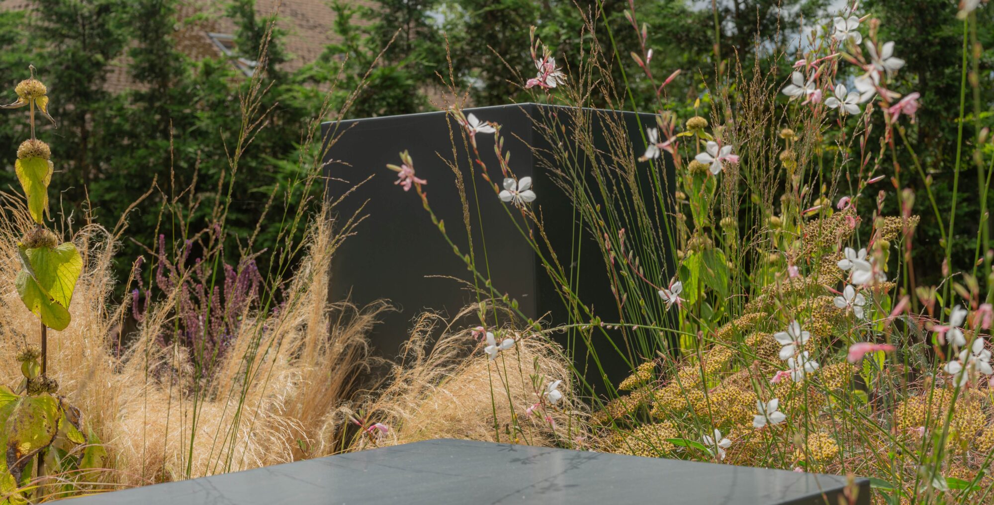 Garden design in Rye