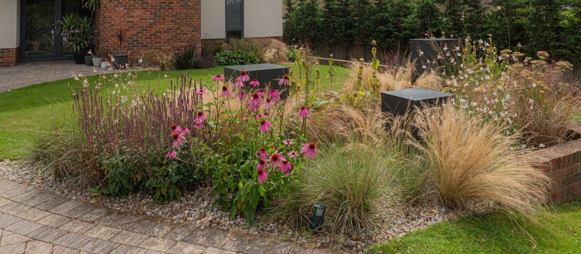 Garden design in Rye