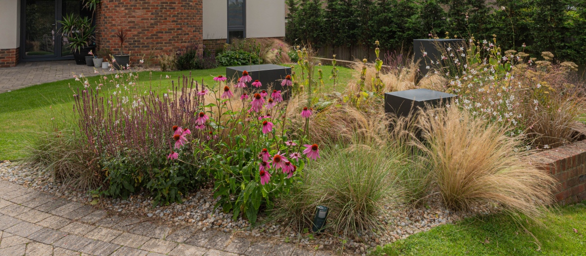 Ashford garden design
