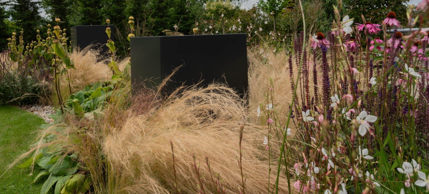 Garden design in Rye
