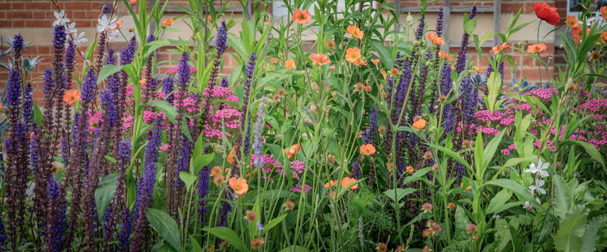 Garden design in Whitstable