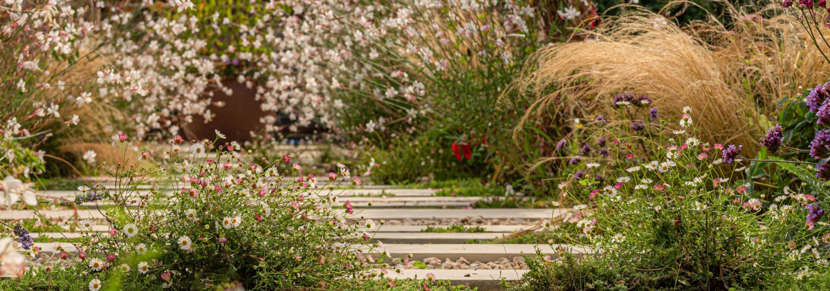 Garden design in Whitstable