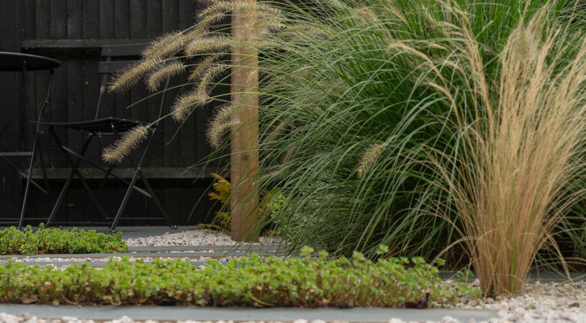 small garden design in Kent