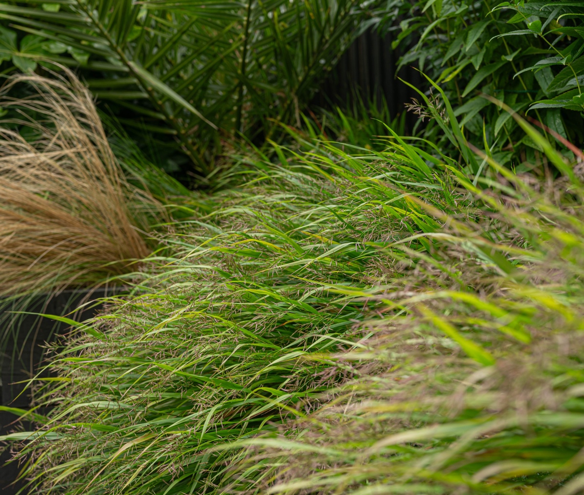 small garden design in Kent