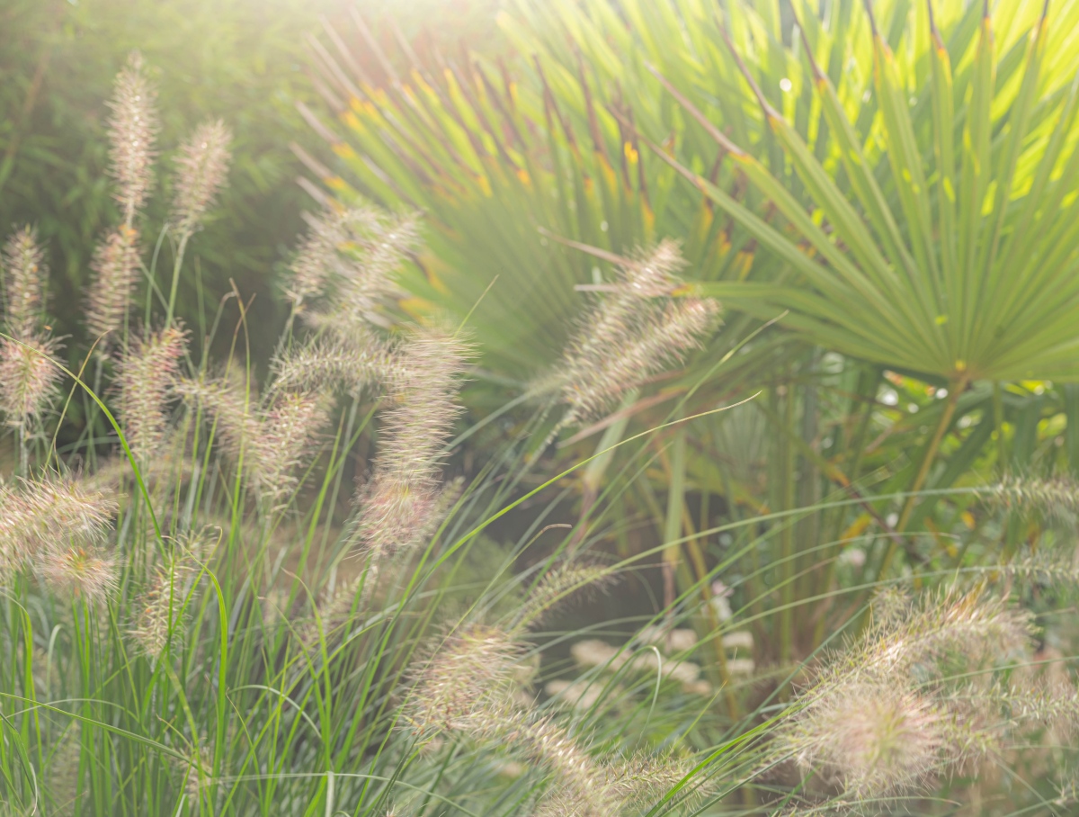 small garden design in Kent