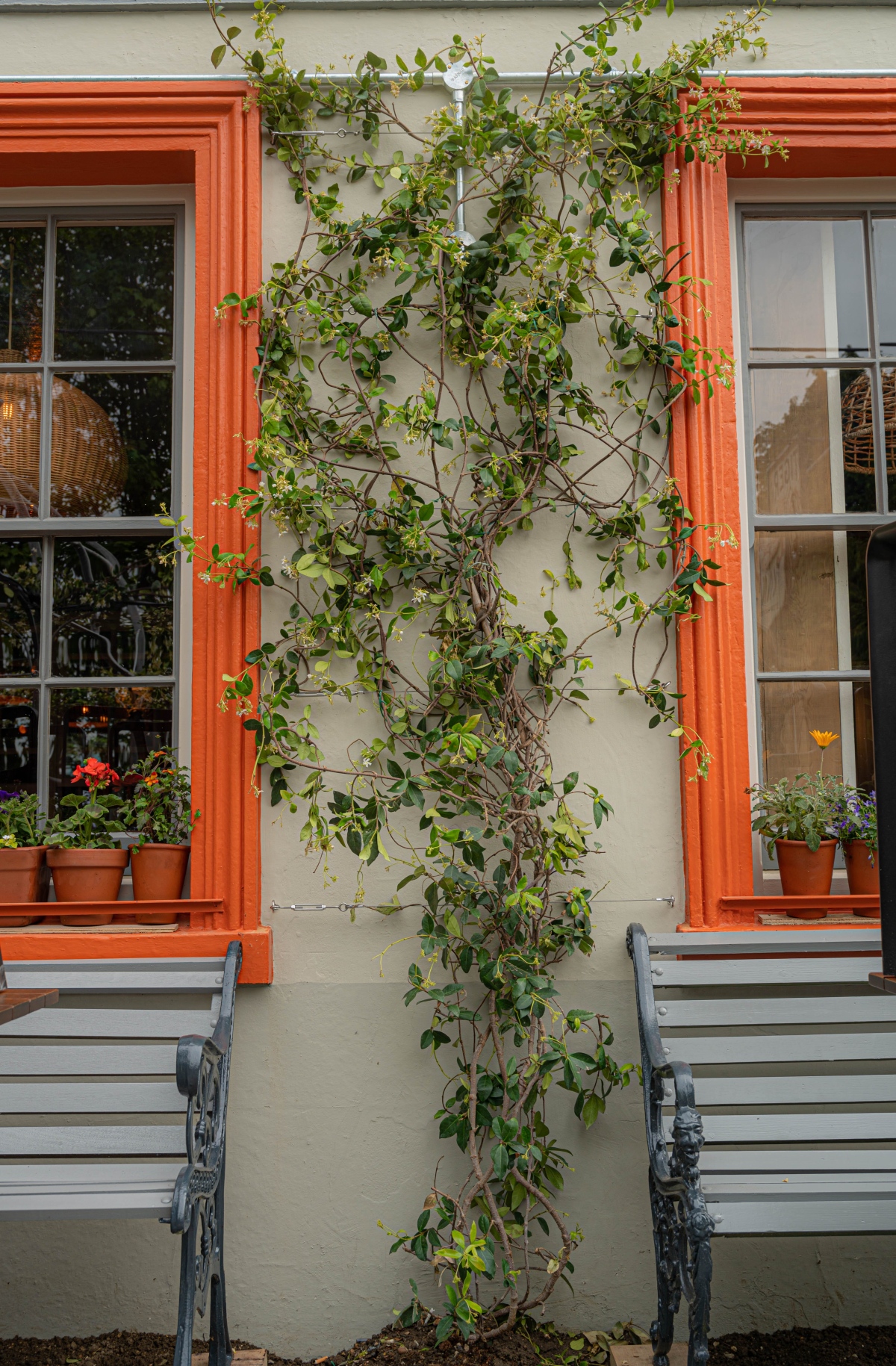 garden design in Canterbury