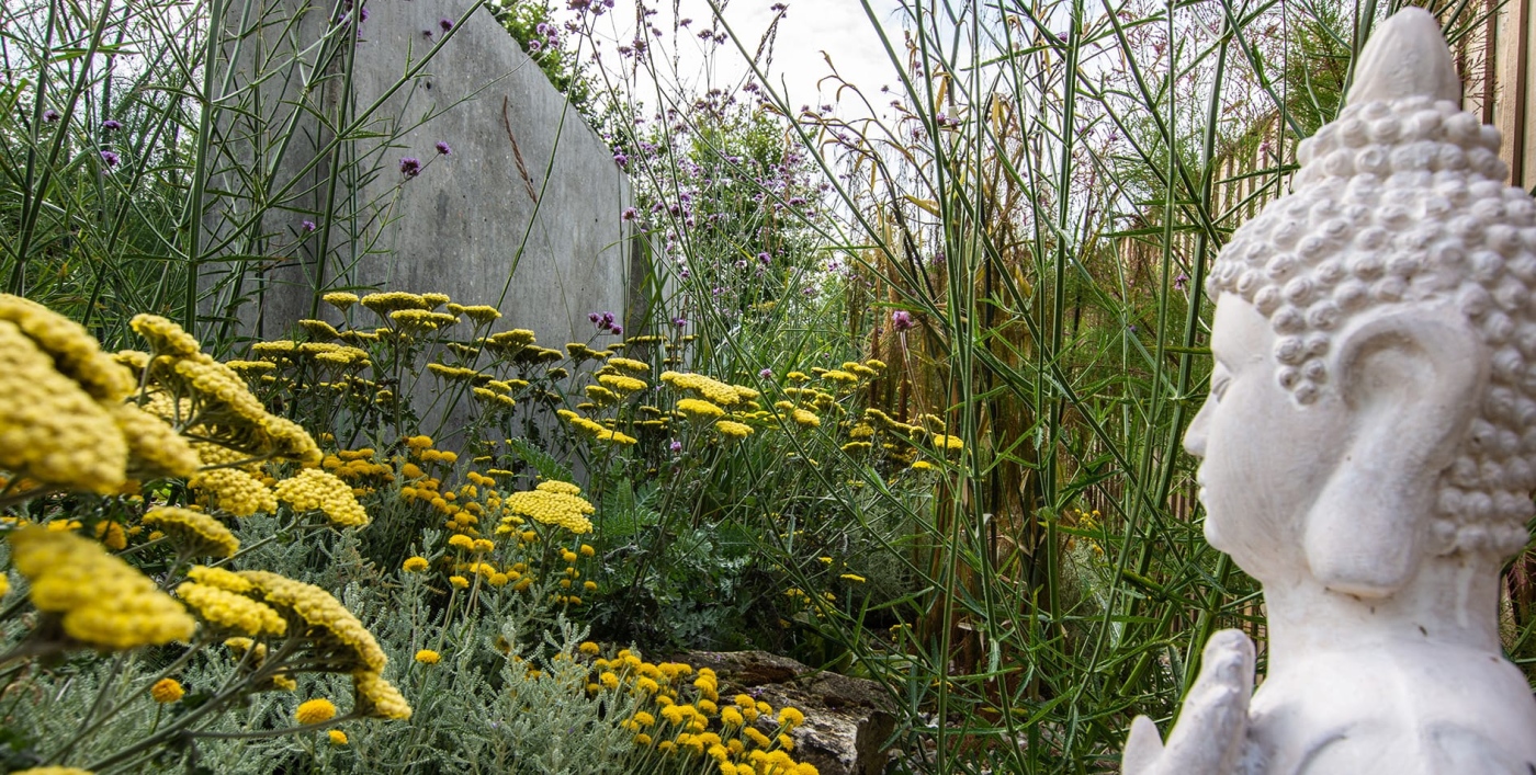 Kent-based garden designers