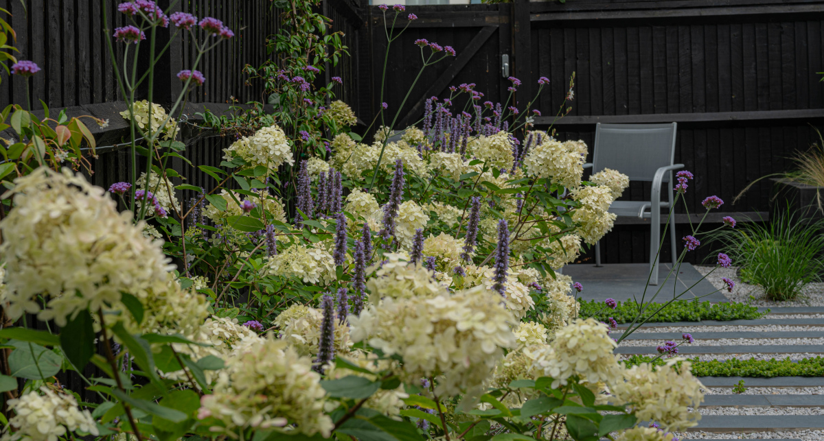 best plants for clay soil in Kent 