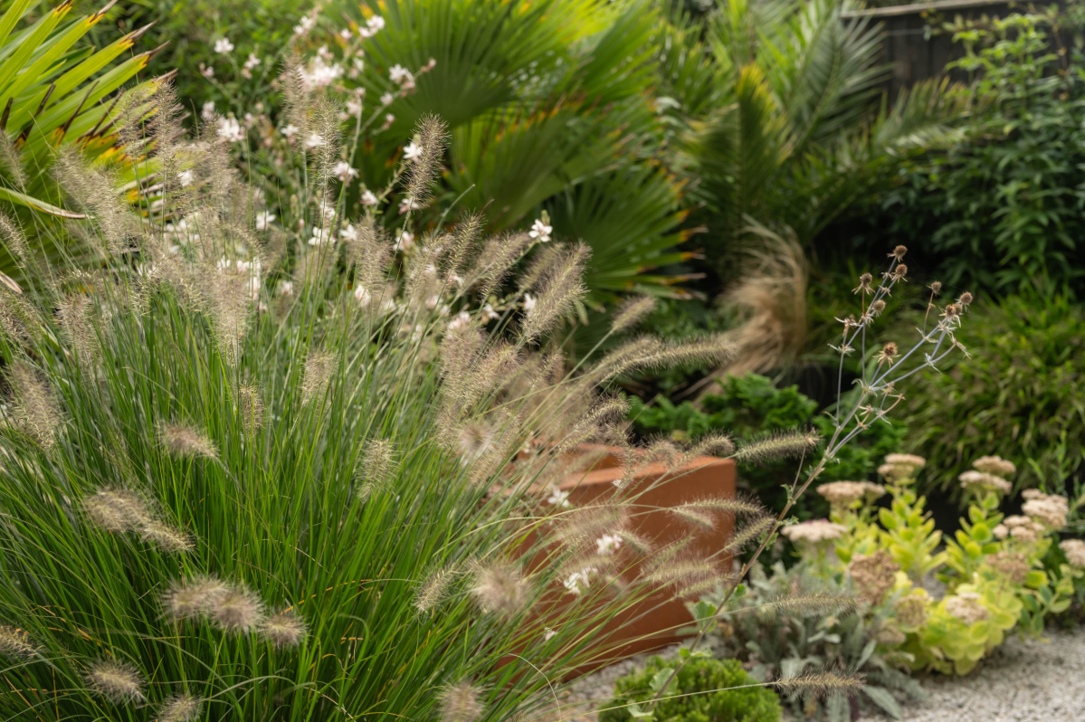 dsc 7499 Best Plants for Clay Soil in Kent Ivy & Whyte Garden Design Creating extraordinary gardens & life-enriching spaces