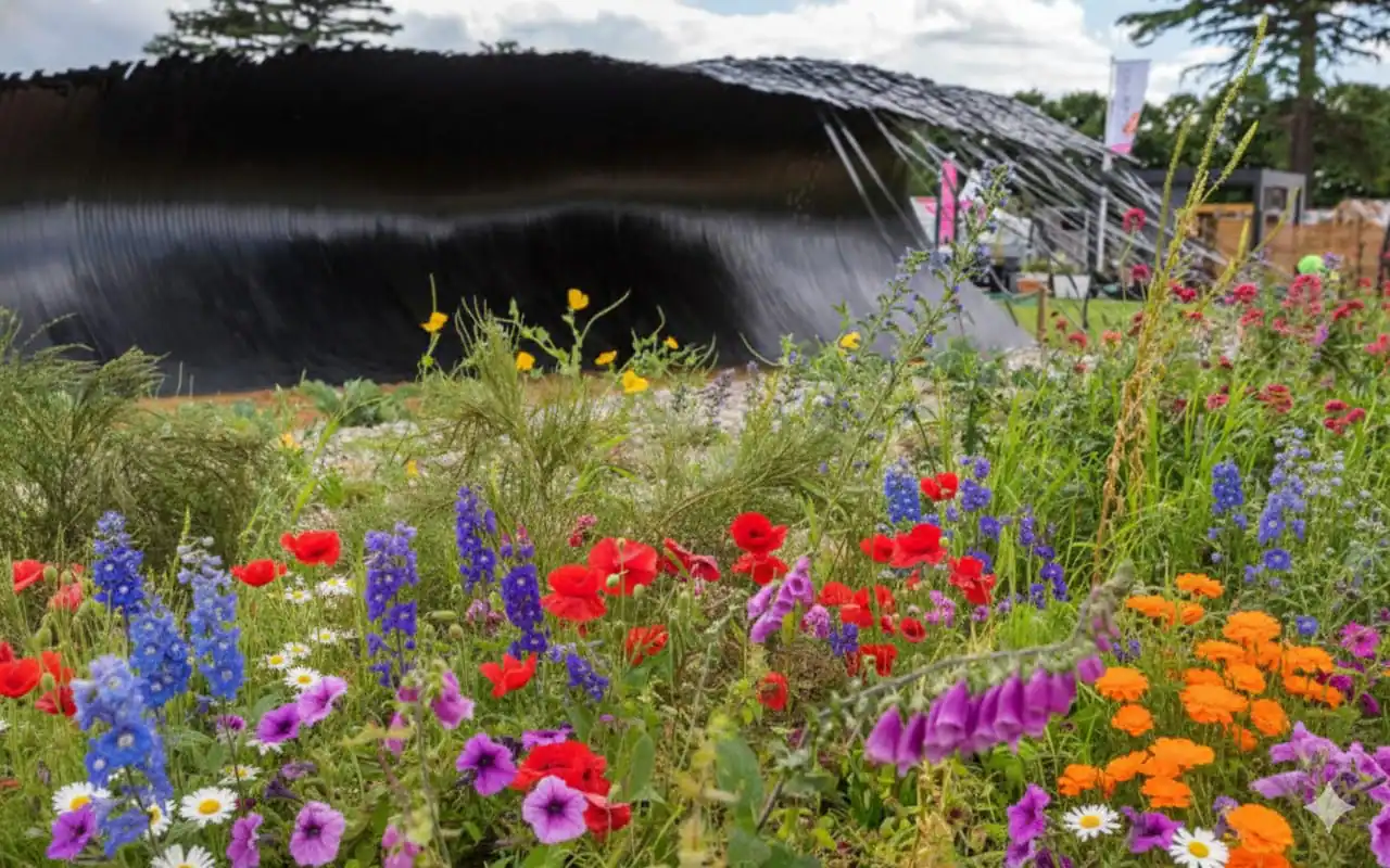 Ivy & Whyte Garden Design - RHS 2016 Page Image