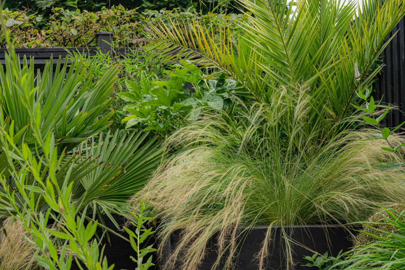 Ivy & Whyte Garden Design - Our Story Page Image