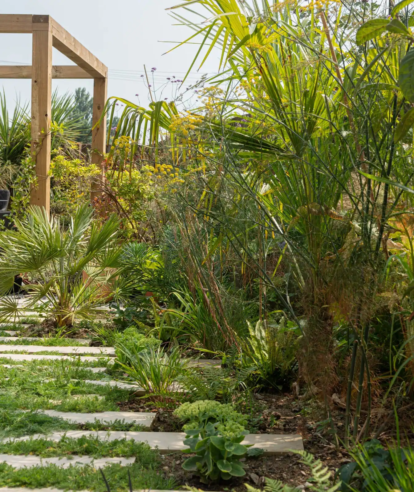 Folkestone garden design