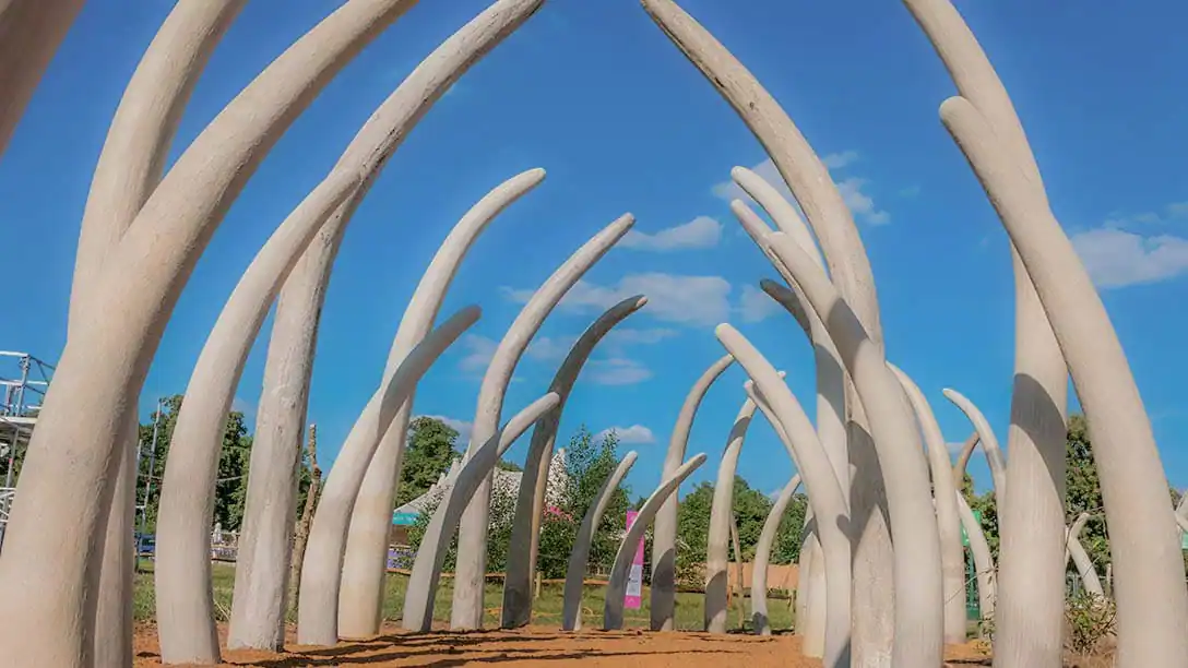 RHS Garden Designers