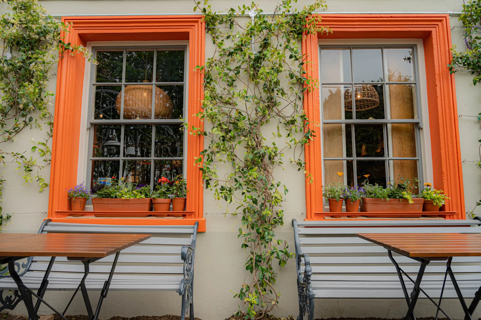 Ivy & Whyte Garden Design - Tiger-Inn Page Image