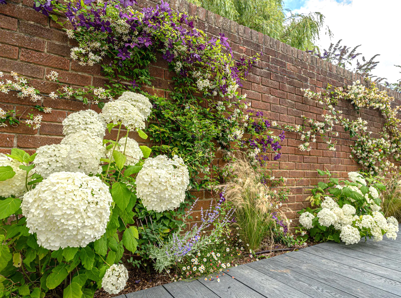 Ivy & Whyte Garden Design - Front Page 2.0 Page Image