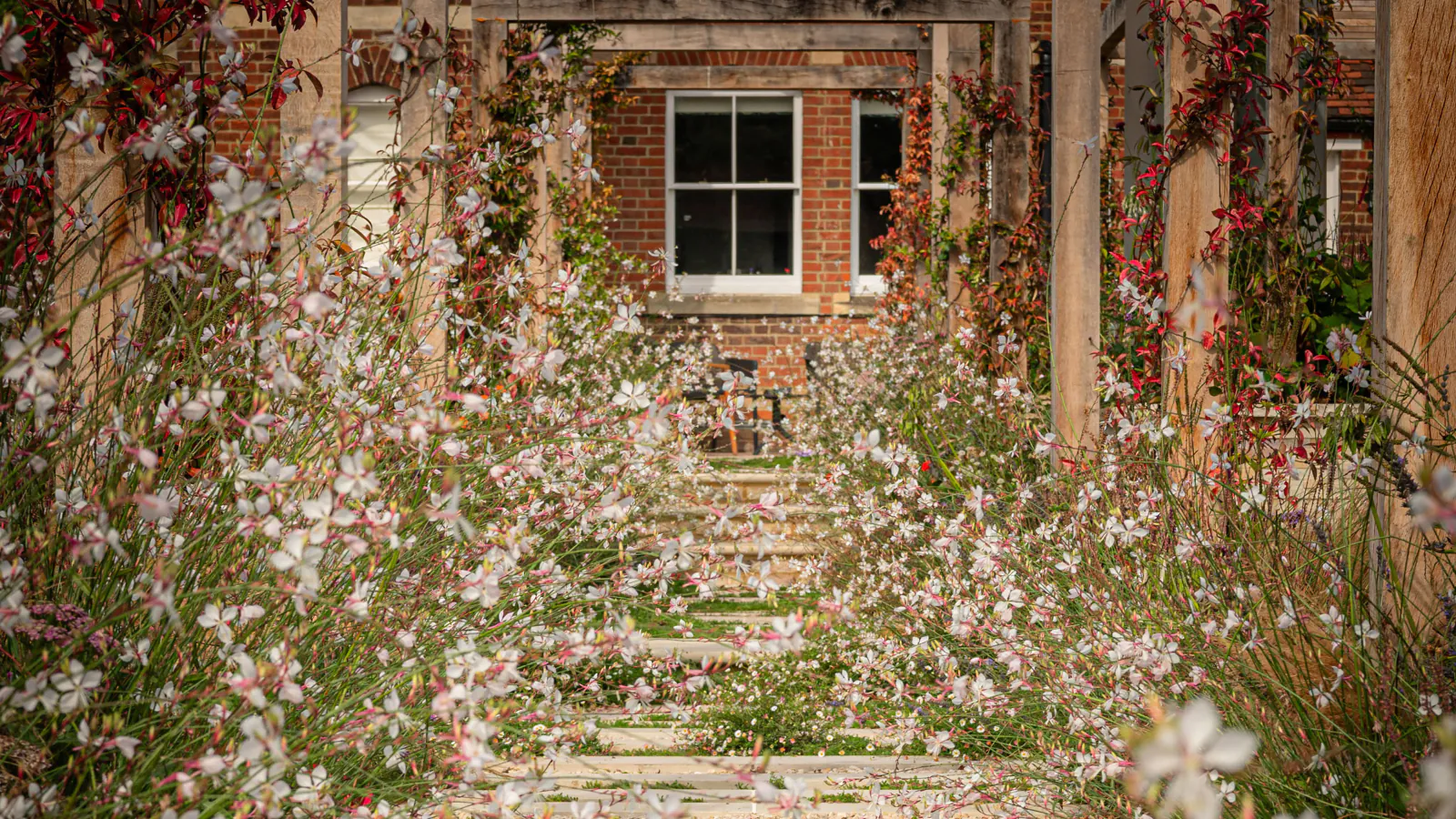 Ivy & Whyte Garden Design - Front Page 2.0 Page Image