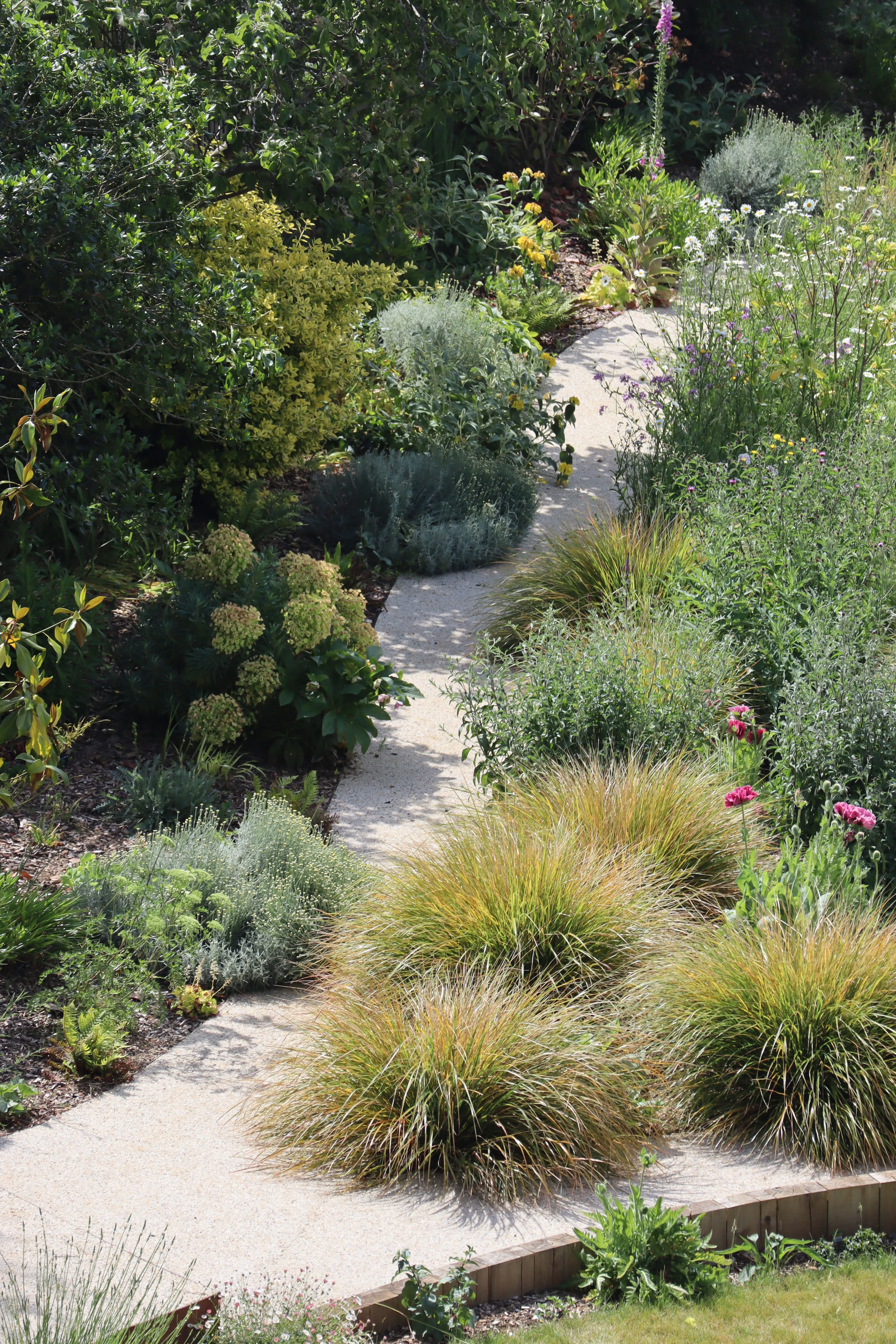 Ivy & Whyte Garden Design - Best Ornamental Grasses for Seaside Gardens Page Image